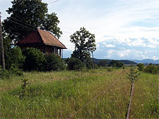 min 247 5.jpg min 247 5.jpg